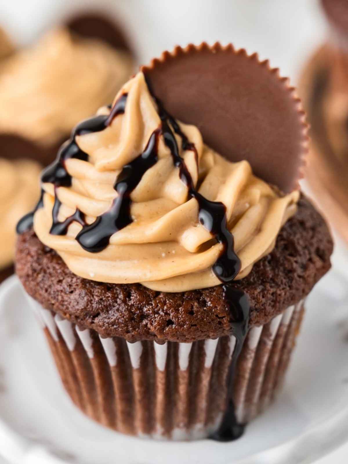 Chocolate Peanut Butter Cupcake