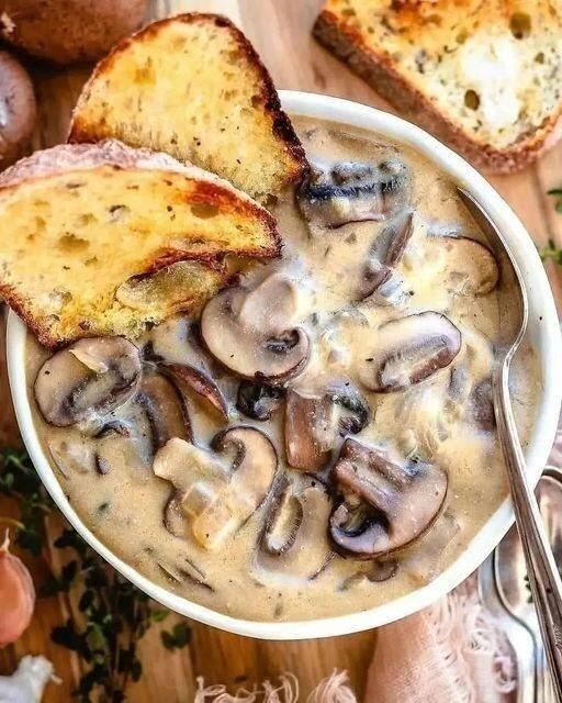 CREAM OF MUSHROOM SOUP