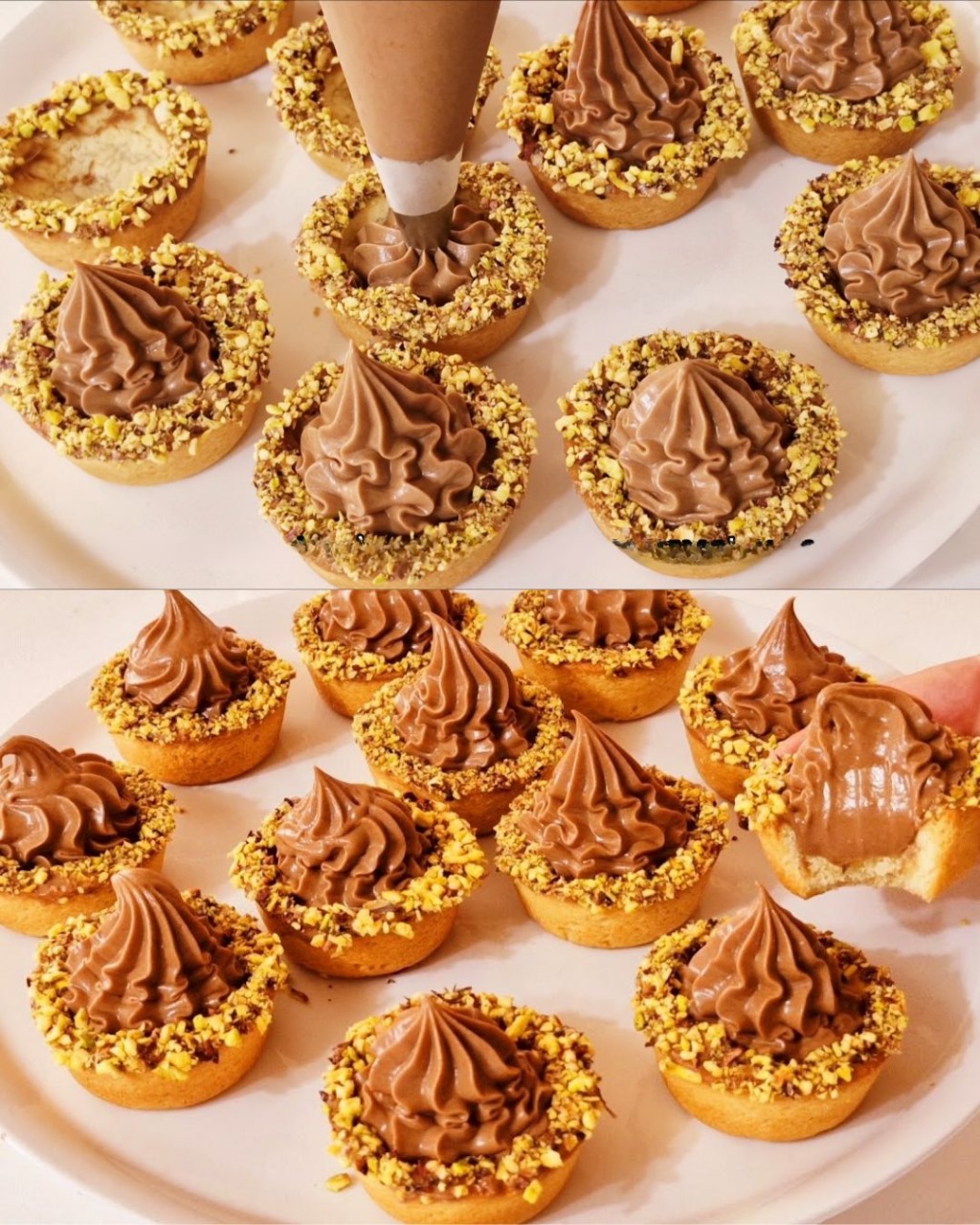 Chocolate Tartlets with Vanilla Custard