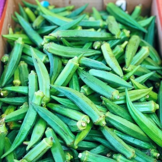 Okra, also known as “lady’s finger” or “gumbo,” is a versatile vegetable that is enjoyed worldwide. 🔴 We are removing inactive members from here. If you want to keep getting our recipes say something.