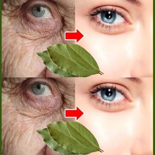 Bay Leaf and Cornstarch: The Natural Beauty Boost for Ageless Skin