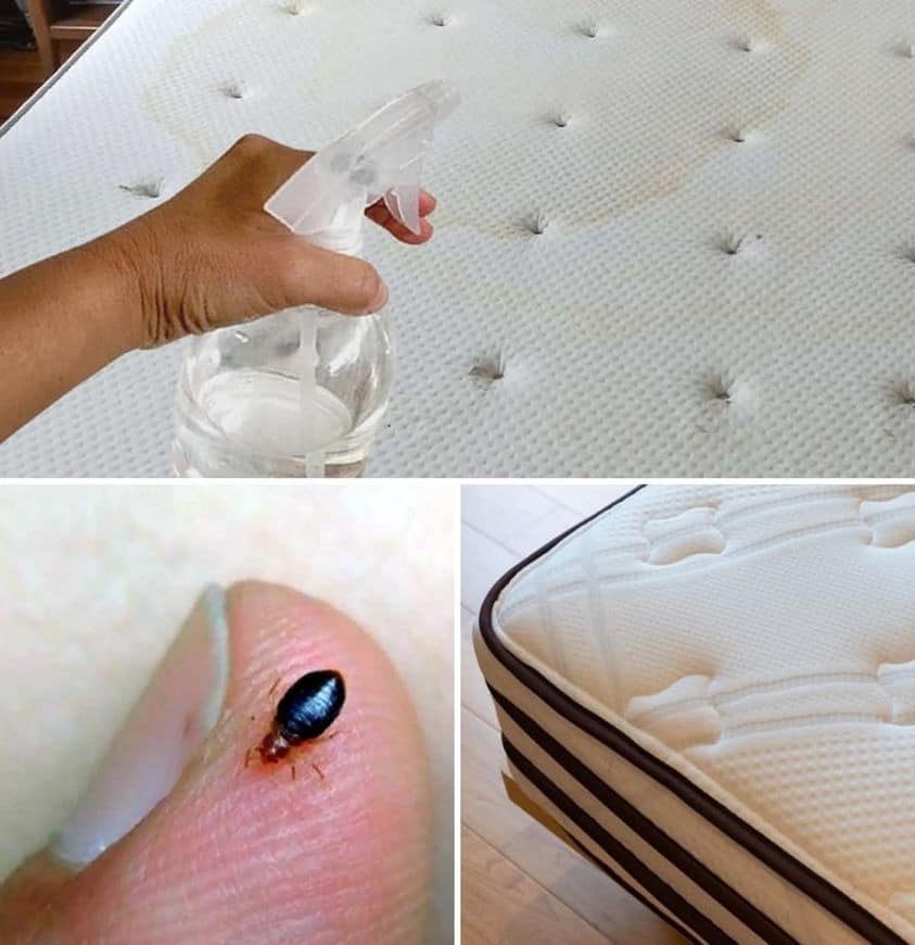 Making your own spray to clean your mattress