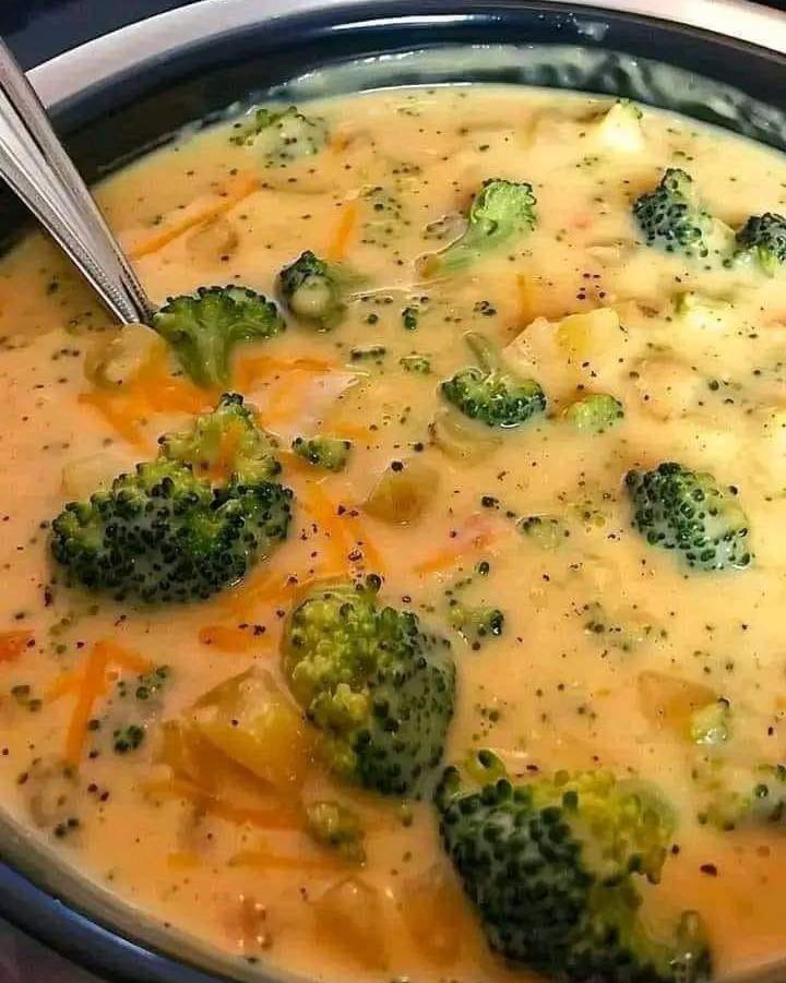 Broccoli Cheese and Potato Soup