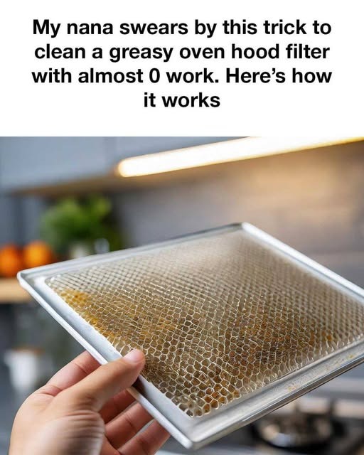 Transform Your Greasy Oven Hood Filter with This Effortless Cleaning Hack