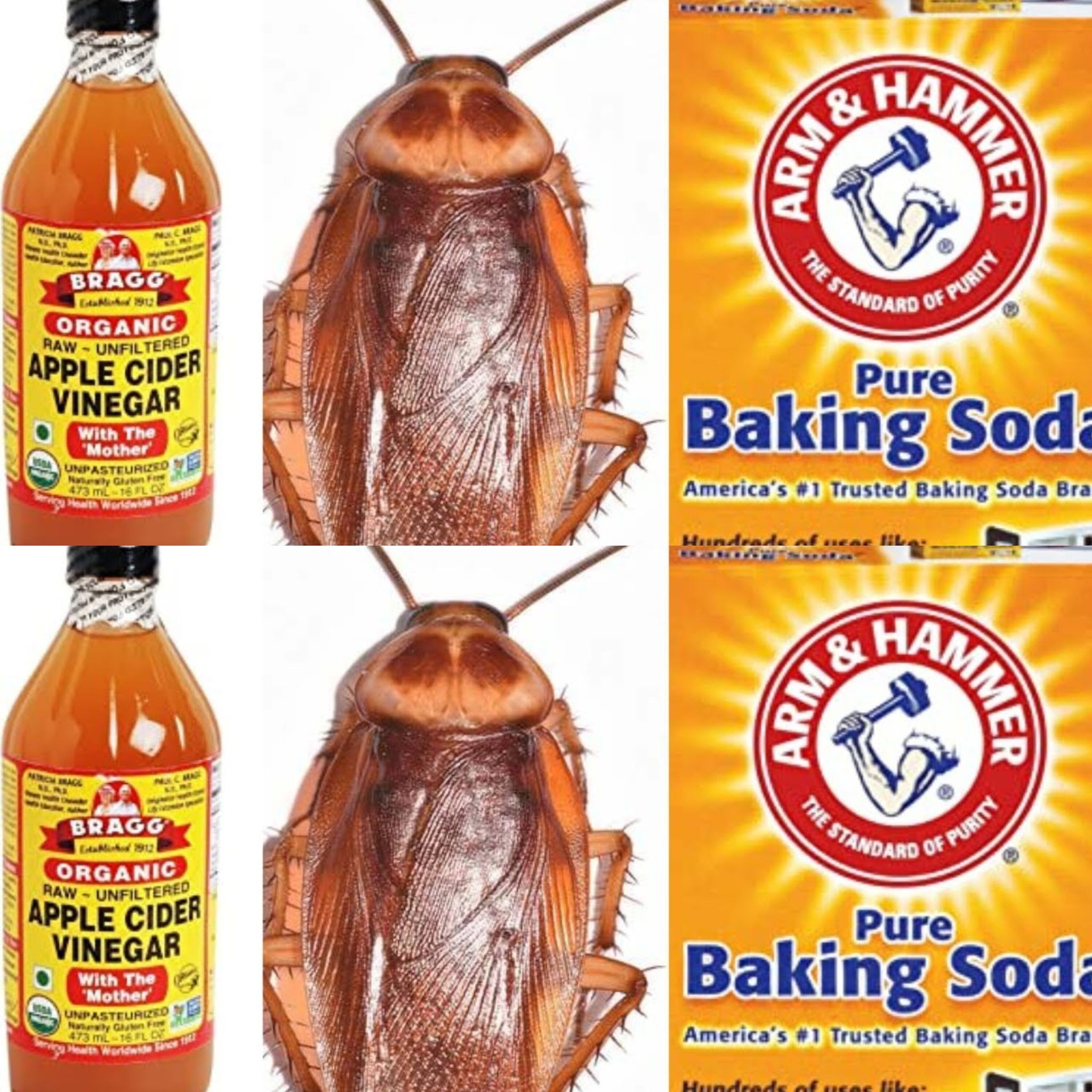 3 Effective Ways to Kill Pests with Baking Soda and Vinegar