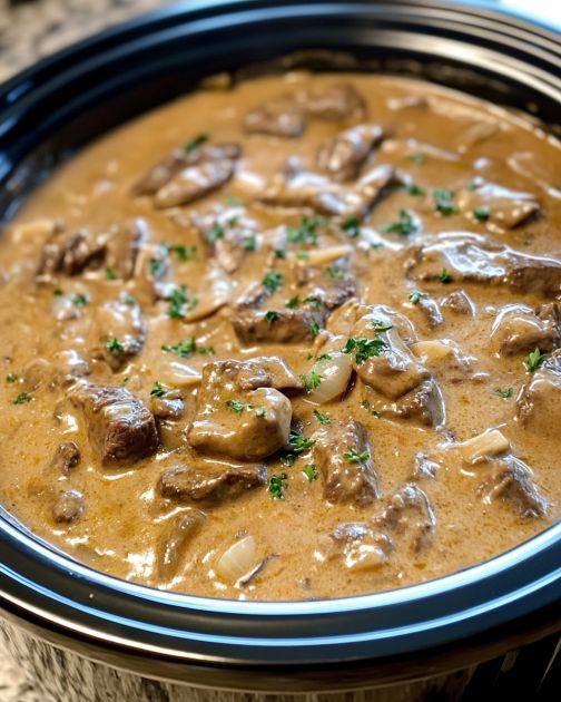 Slow Cooker 4-Ingredient Beef Stroganoff Pasta