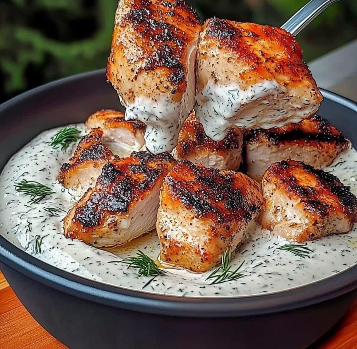 Grilled Chicken with Creamy Dill Sauce