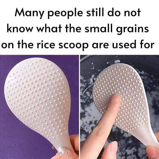 the small grains on the rice scoop are used fo