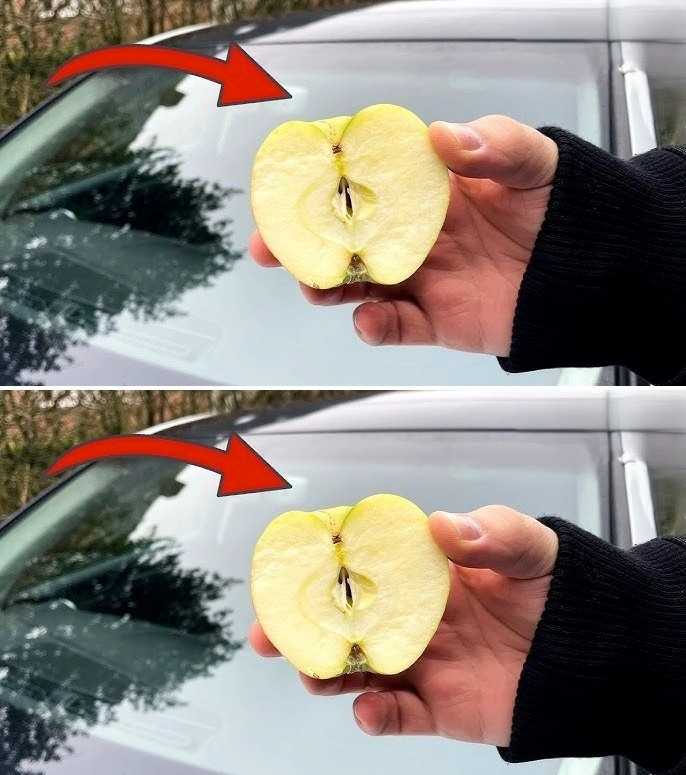 Rub Your Car Windshield With An APPLE And WATCH WHAT HAPPENS