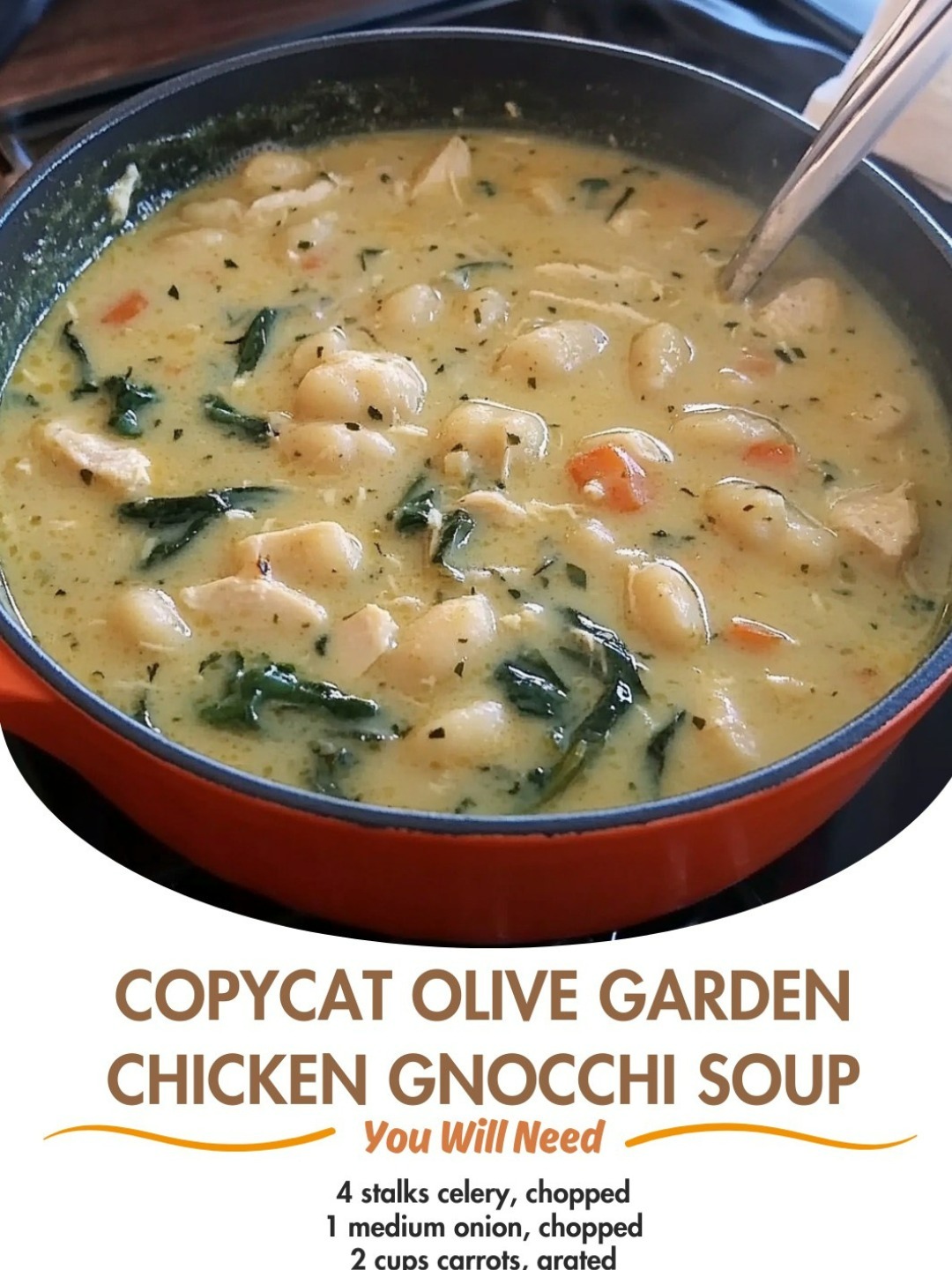 Copycat Olive Garden Chicken Gnocchi Soup