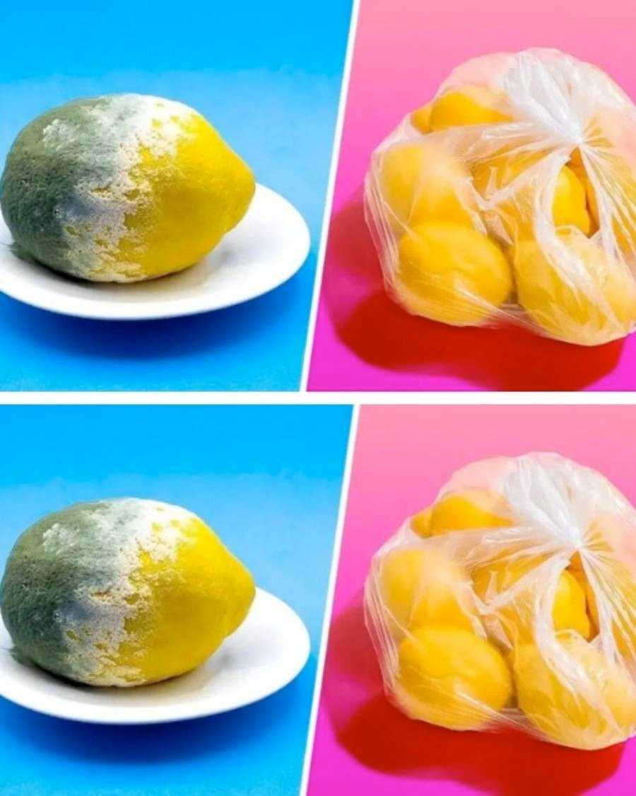 The trick to storing lemons for 3 months or more and preventing them from rotting