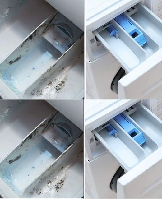 The Ingenious Trick for Cleaning the Washing Machine Drawer: It is Like New Again and Free of Mould!