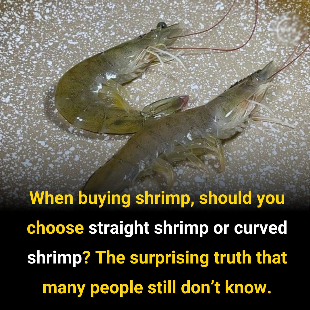 When going to the market, should we choose “straight shrimp” or “curved shrimp”? The difference is huge