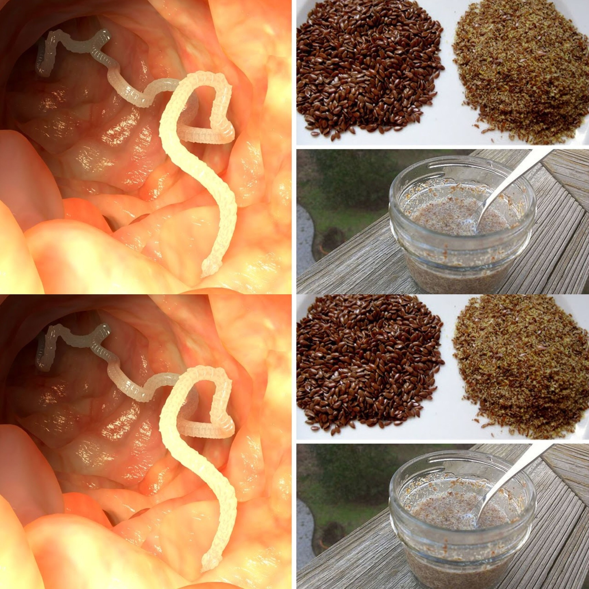 How to Get Rid of Intestinal Parasites (recipe)