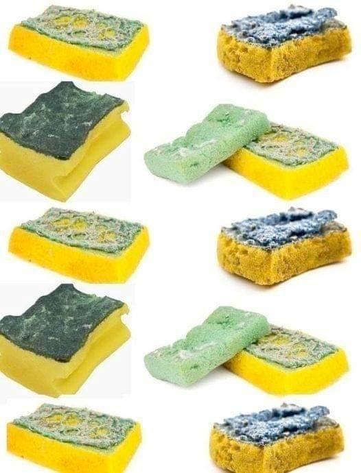 Old sponges, don’t throw them away: