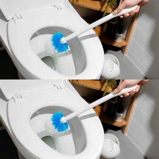 Toilets: A Simple and Natural Tip to Get Rid of Bad Odors