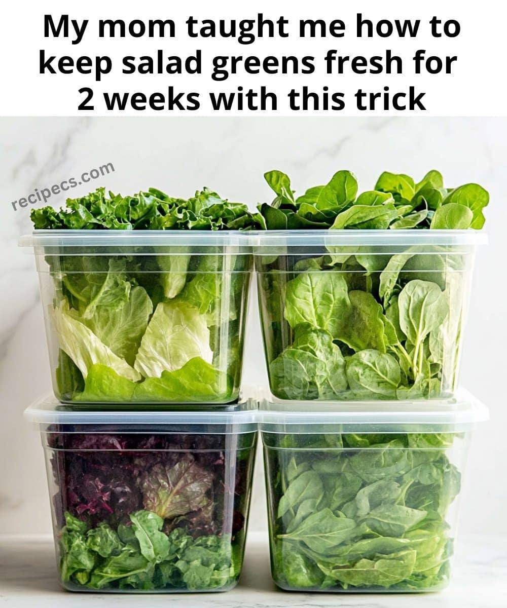 This is the best way to extend the shelf life of salads!.