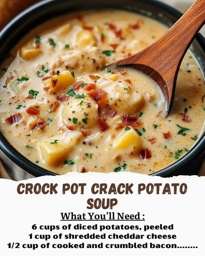 Crock Pot Crack Potato Soup