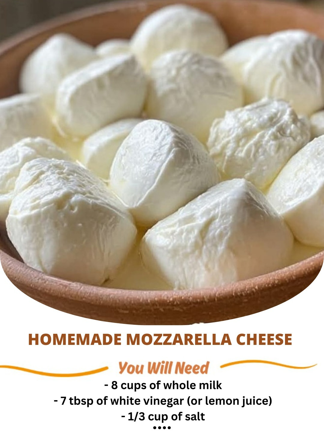 Homemade Mozzarella Cheese Recipe!