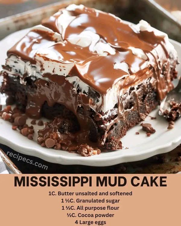 Mississippi Mud Cake