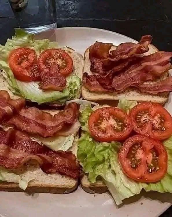 WOULD YOU EAT THIS TREMENDOUS BLT SANDWICH