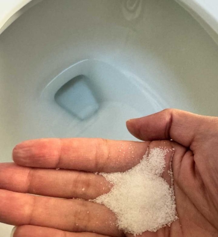 Put salt in your toilet. Here’s why. This is something plumbers will never tell you