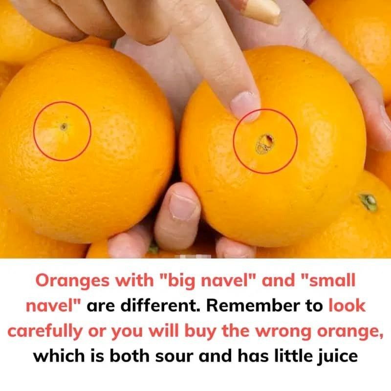 Oranges with “big navel” and “small navel” are different