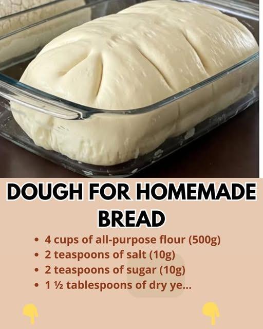 Soft Homemade Bread Dough