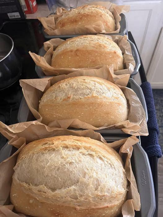 I can’t stop making sandwich bread! No kneading, no eggs, no butter! So soft and delicious, my coworkers keep asking me to whip them up!