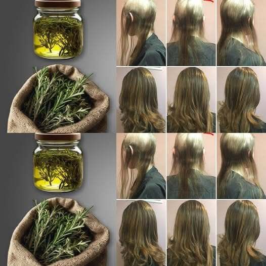 Rosemary Black Oil for Fast Hair Growth