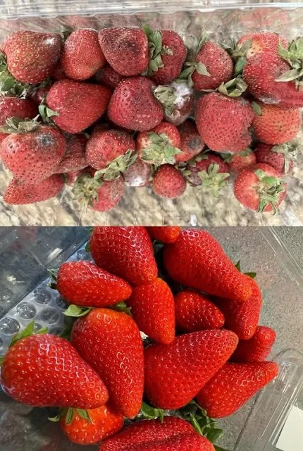 How To Keep Strawberries Fresh For Longer