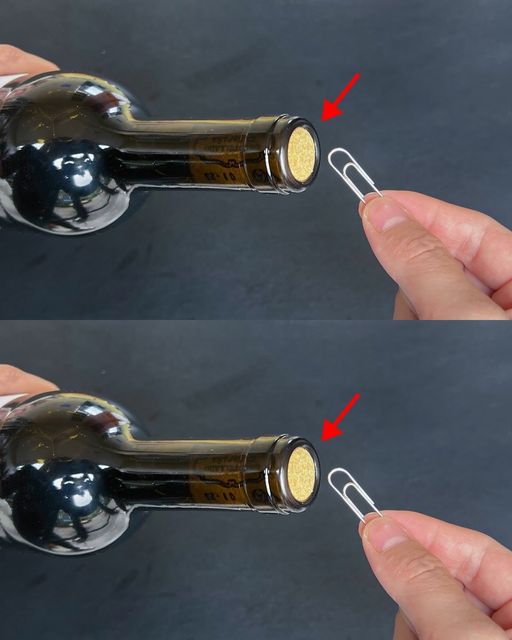 Opening red wine turns out to be very easy: IF there is no bottle opener, all you need is a paper clip.